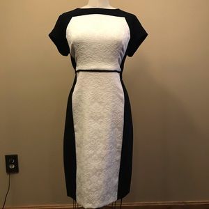 DressBarn Tailored Black and White Dress